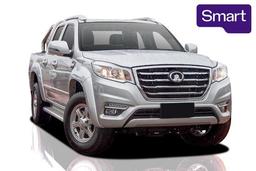 2020 Great Wall Steed