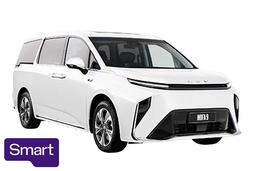 2025 LDV MIFA 9