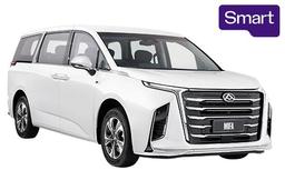 2025 LDV MIFA