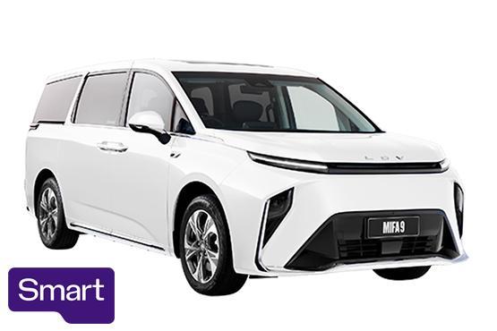 2025 LDV MIFA 9